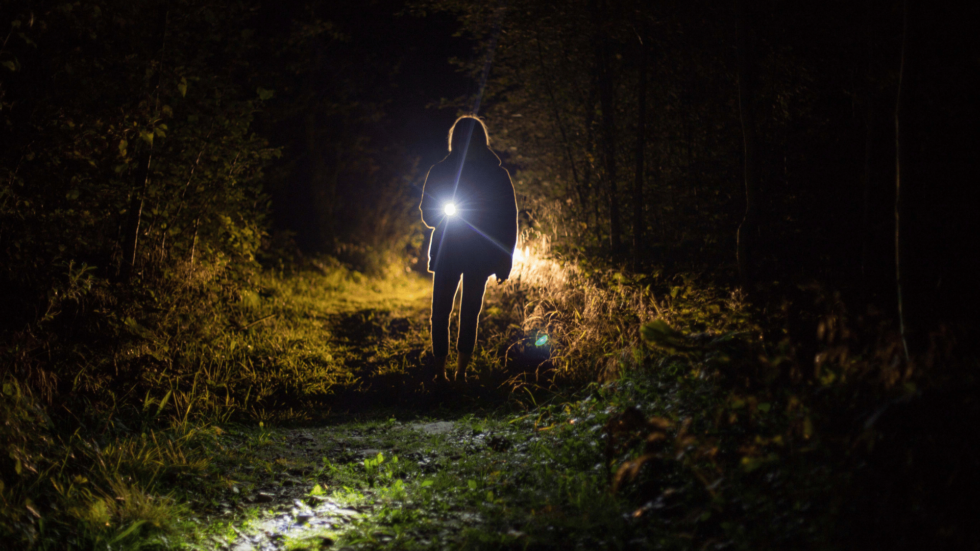 A Luz que Guia o Caminho